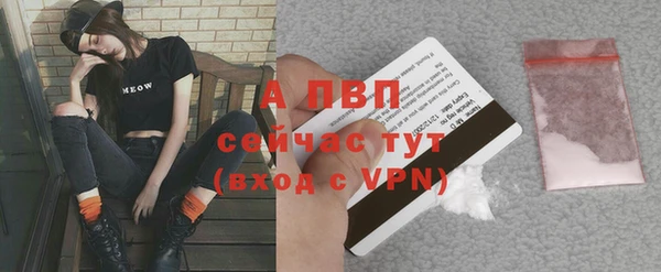 ALPHA PVP Белокуриха