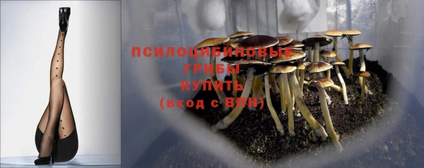 ALPHA PVP Белокуриха