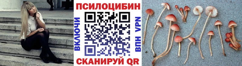 Галлюциногенные грибы Psilocybine cubensis  Можайск 